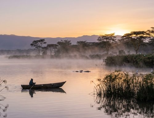 Lake Naivasha Day Trip from Nairobi: The Complete Activity Guide (2026)