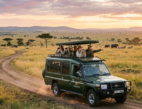 How Much Does a Kenya Safari Cost in 2026? (Honest Breakdown)