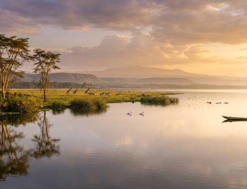 Is Kenya Safe for Tourists in 2026? An Honest Guide