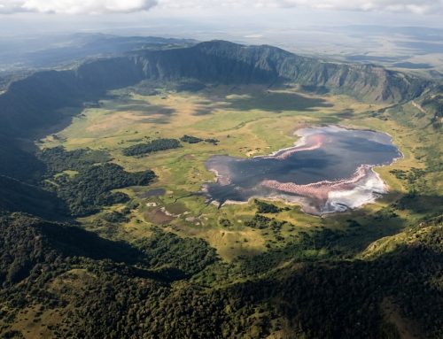 Ngorongoro Crater: Africa’s Garden of Eden (Complete Guide) (2026)