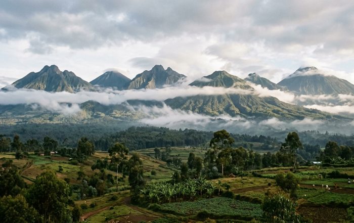 Volcanoes National Park Rwanda — the Virunga volcanic chain rising above the forest, six peaks including Karisimbi at 4,507 metres
